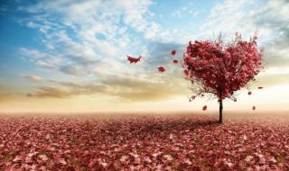 天地有情演员表